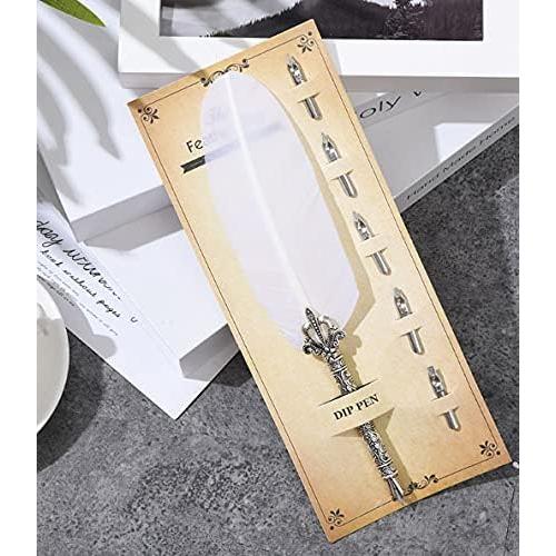 Pluma de Caligrafía Gullor con 6 Puntas de Acero Inoxidable