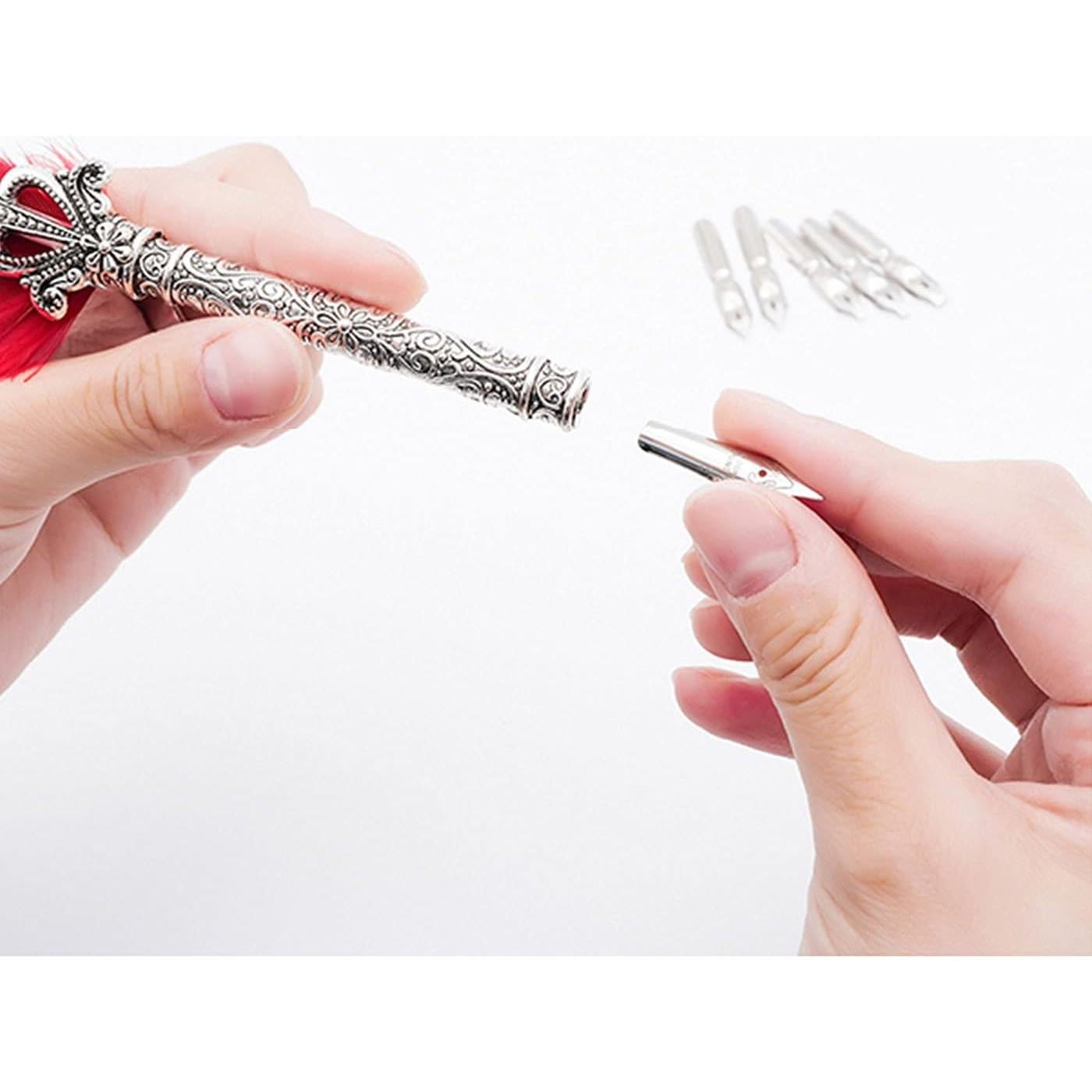 Pluma de Caligrafía Gullor con 6 Puntas de Acero Inoxidable