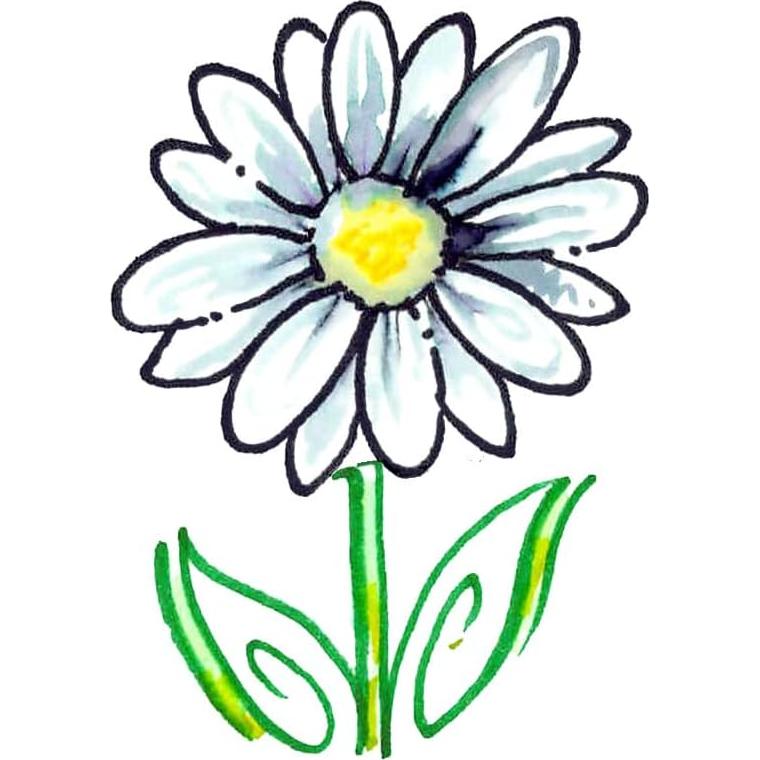 Juego de 6 Marcadores de Caligrafía Speedball 3.0 mm Surtido