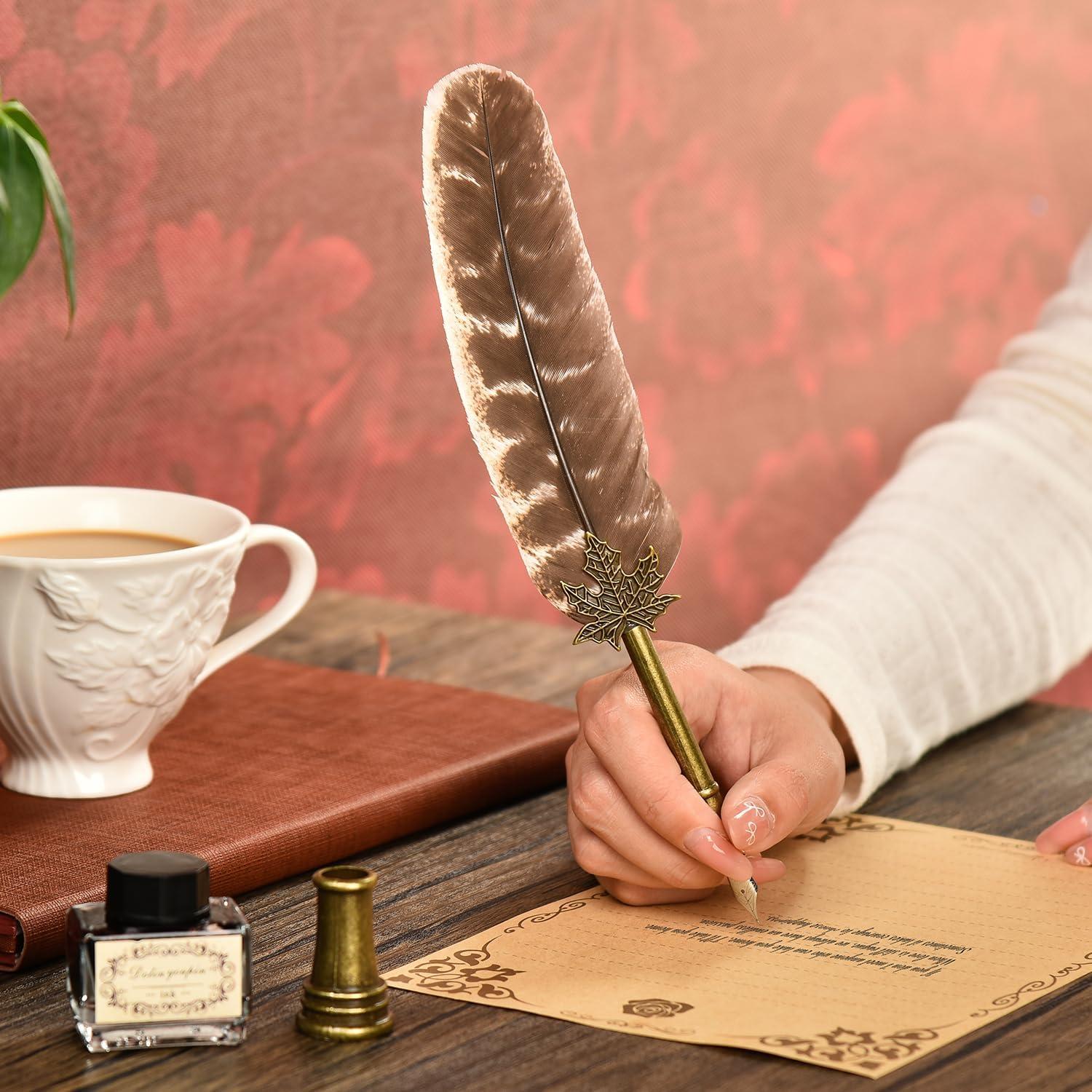 Juego de Pluma de Caligrafía Hethrone con Tinta y 5 Puntas