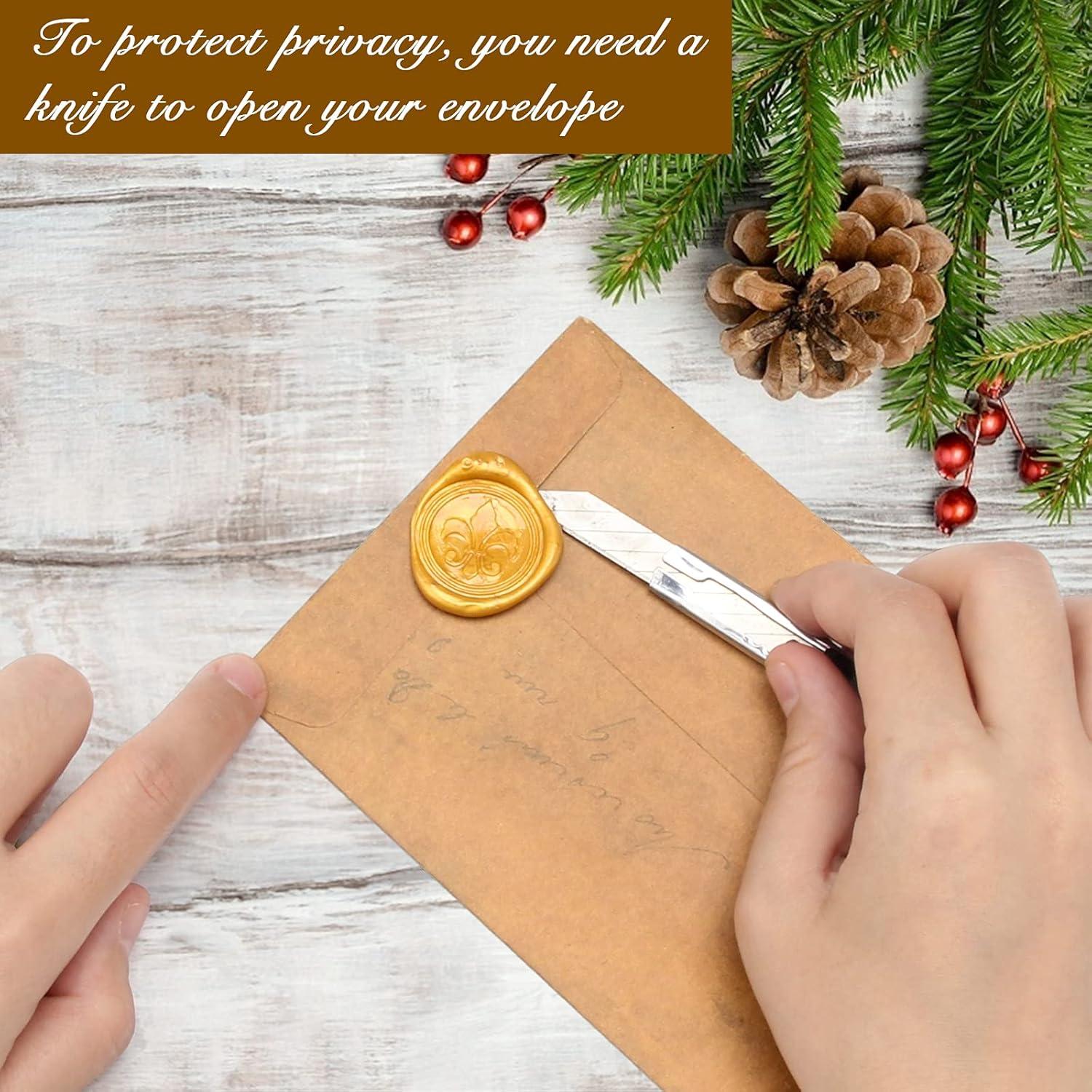 Juego de Pluma Caligráfica Anglekai con Sello de Cera Azul