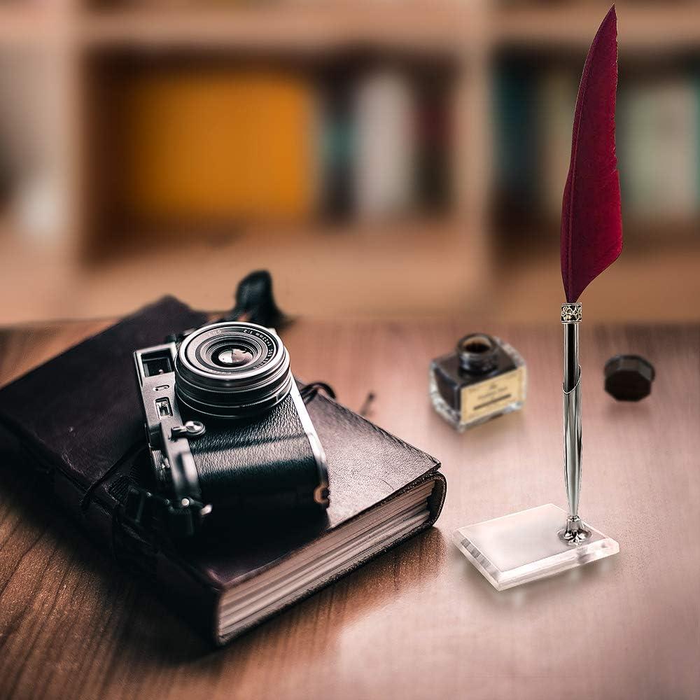 Juego de Caligrafía Vintage GCCL con Pluma Pavo Real y Tinta