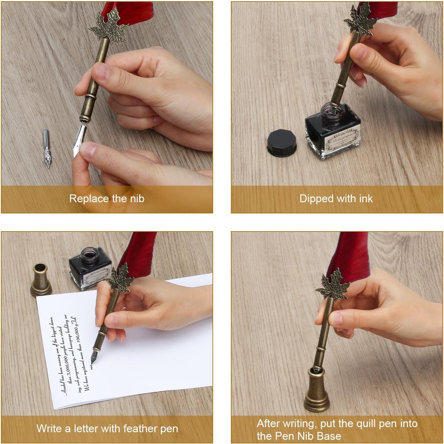 Conjunto de pluma y tinta AHIER con 5 puntas y 15ml tinta