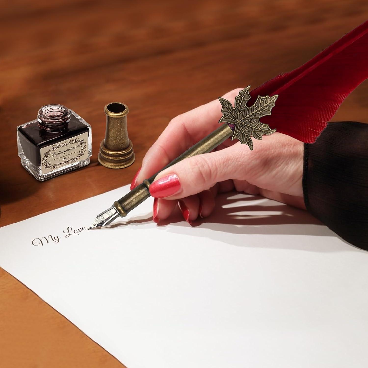 Conjunto de pluma y tinta AHIER con 5 puntas y 15ml tinta