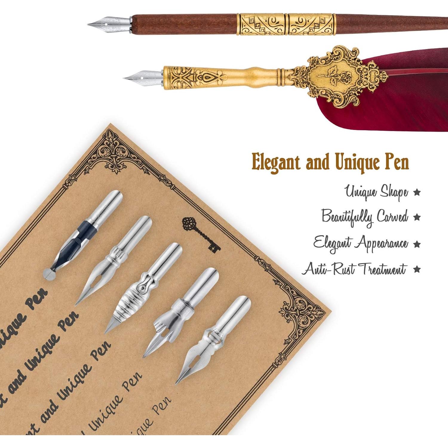 Juego de Caligrafía Hethrone 22 Piezas Plumas y Tinta