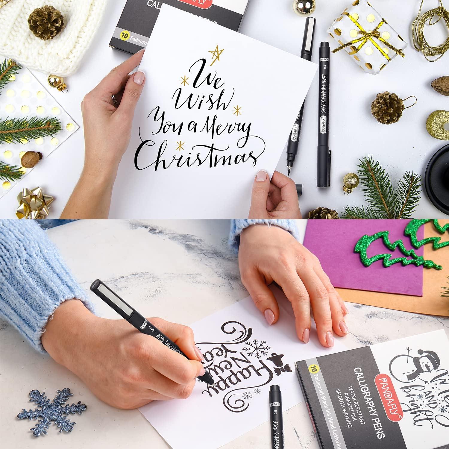Juego de Plumas de Caligrafía PANDAFLY - 10 Tamaños, Tinta Negra
