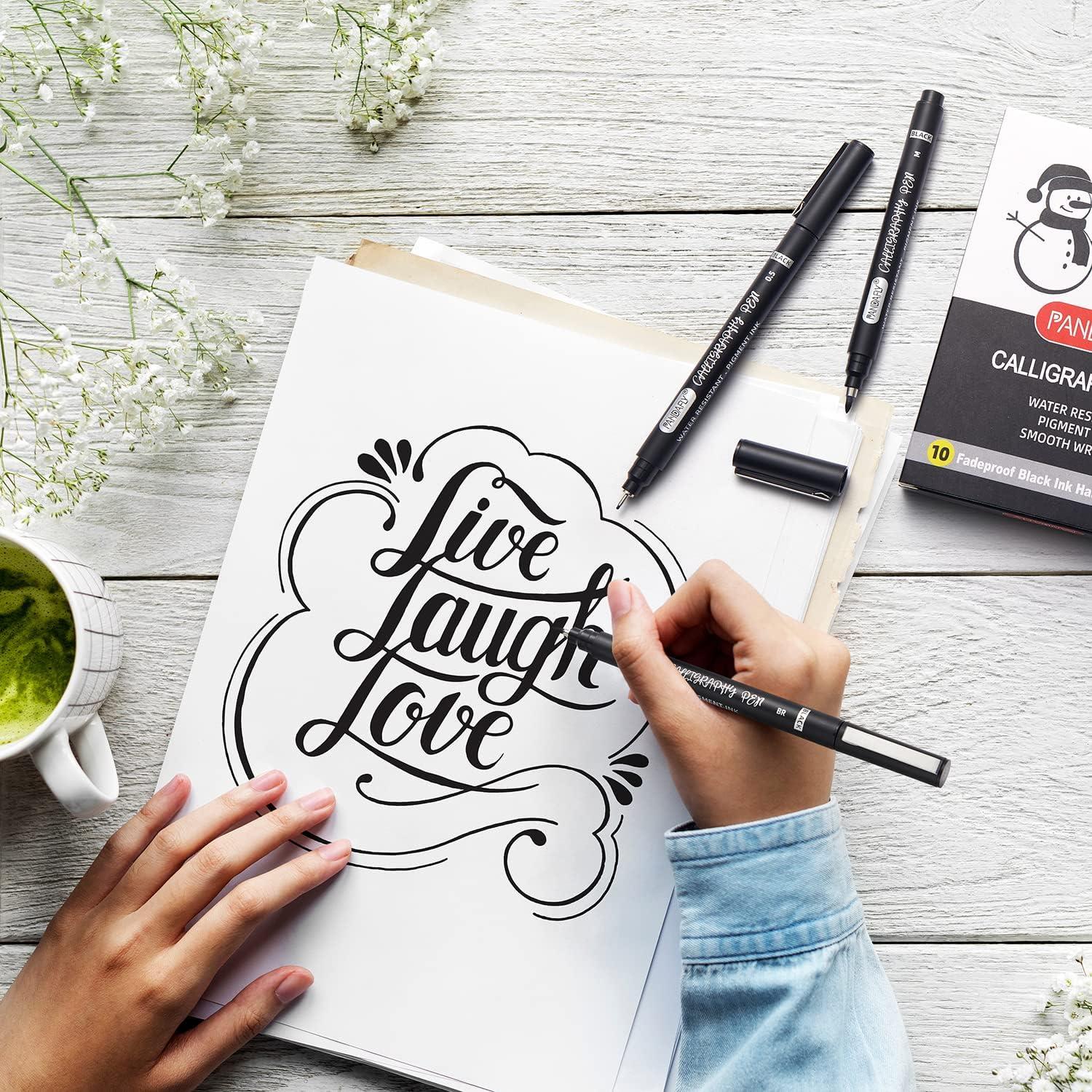 Juego de Plumas de Caligrafía PANDAFLY - 10 Tamaños, Tinta Negra