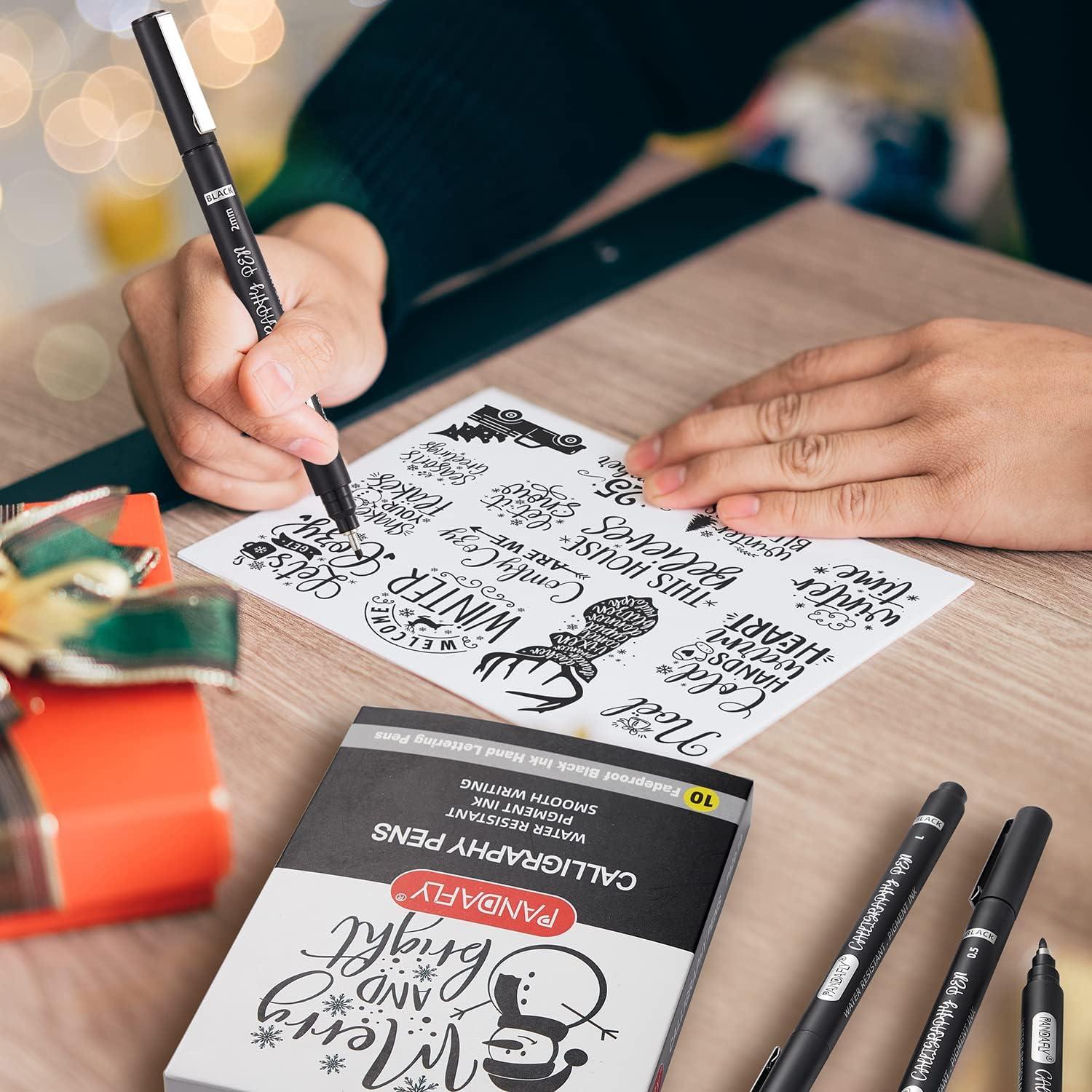 Juego de Plumas de Caligrafía PANDAFLY - 10 Tamaños, Tinta Negra