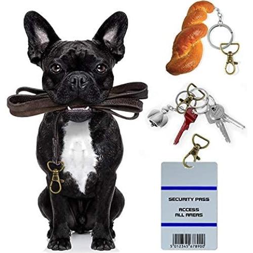 Ganchos Giratorios de Lanyard Hotop 35 Piezas Metal Bronce