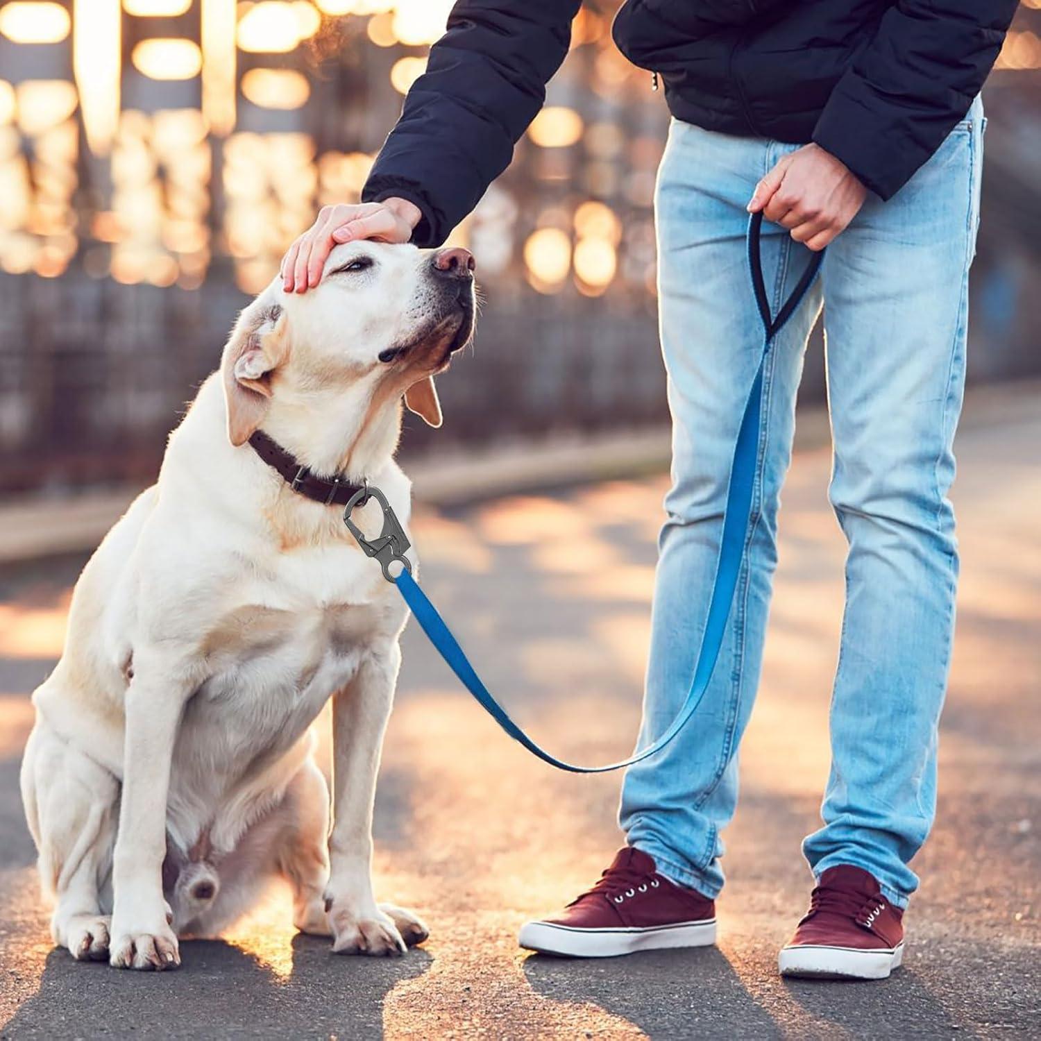 Gancho Carabinero Ahiller JRK, Clip de Llave Zinc 7.87 cm