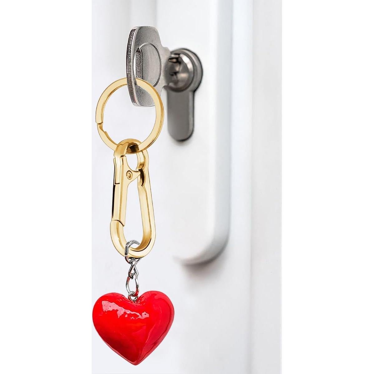 8 Piezas Llavero de Metal Sugiury con Clips y Ganchos