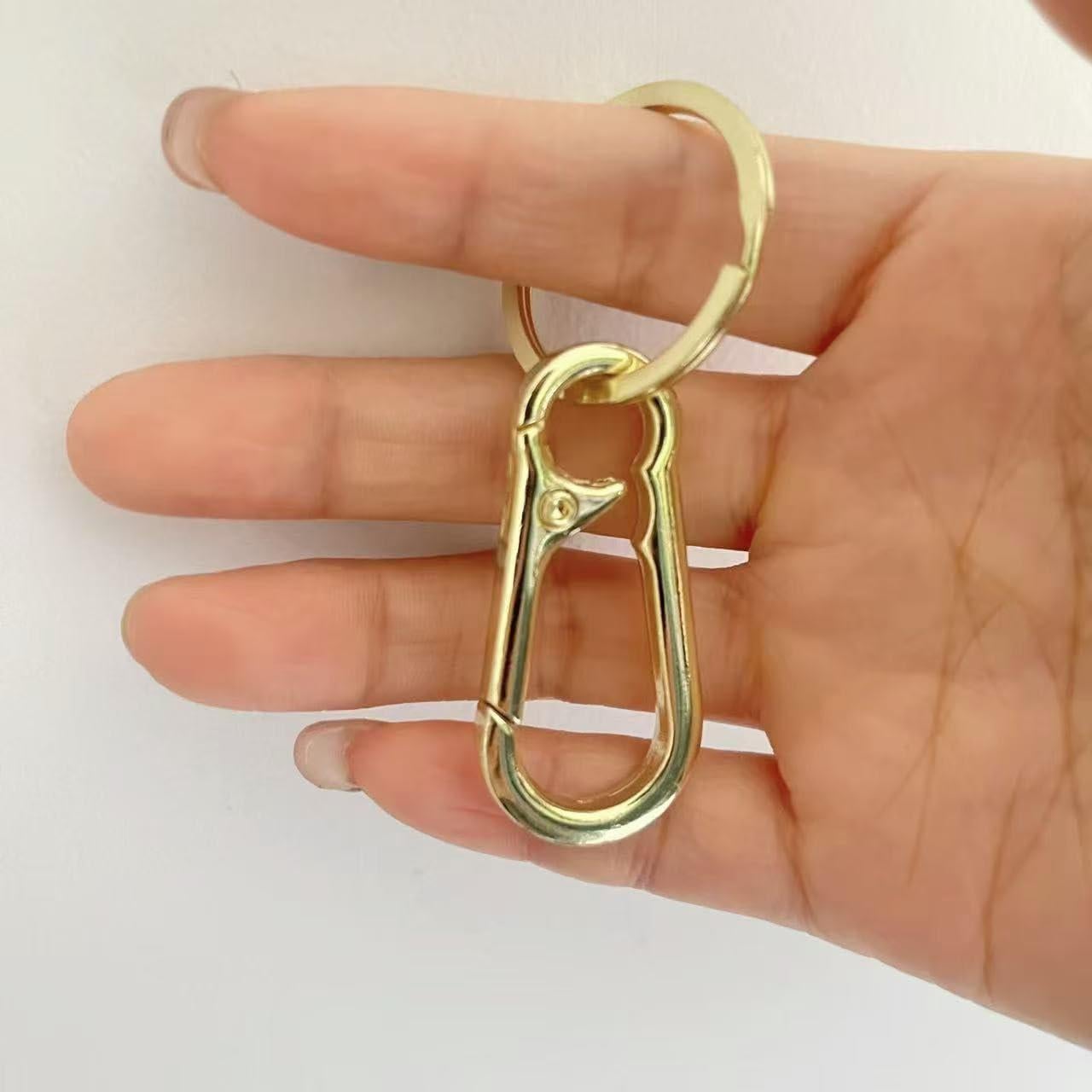 8 Piezas Llavero de Metal Sugiury con Clips y Ganchos