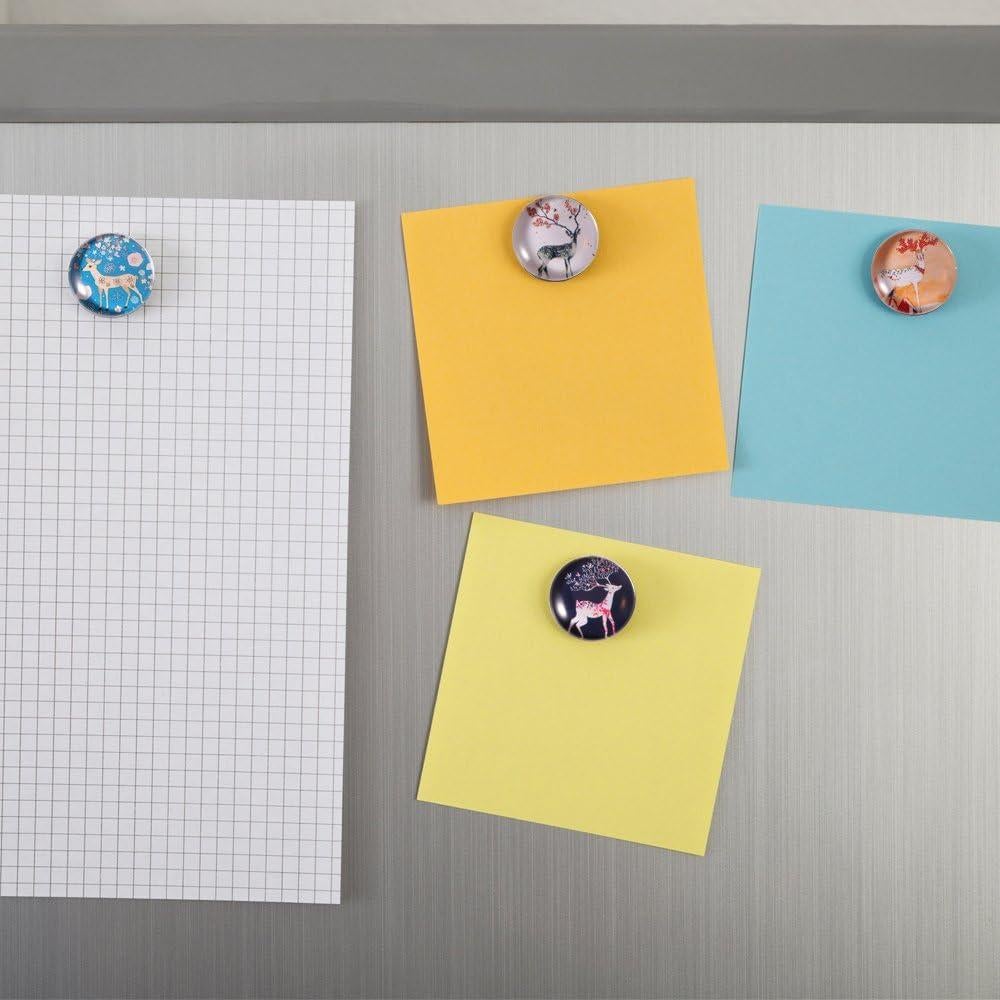 Cúpulas de Vidrio Transparentes HAUTOCO 60 Piezas 25mm