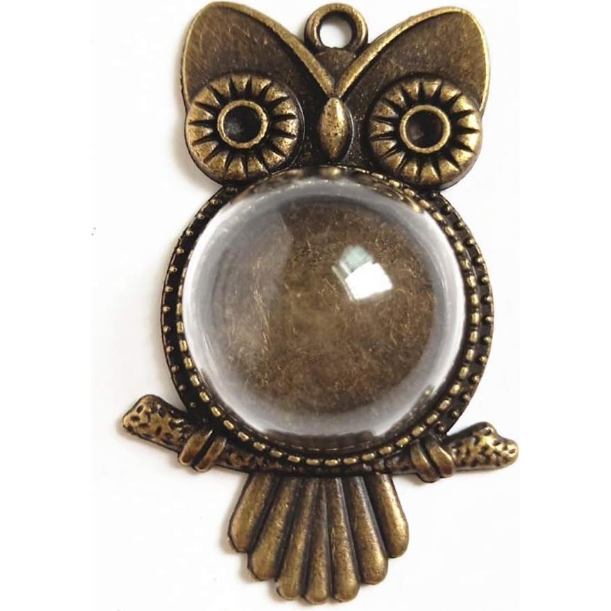 Kit de Bandejas para Colgantes Chris.W 48 Piezas con Cúpulas de Vidrio