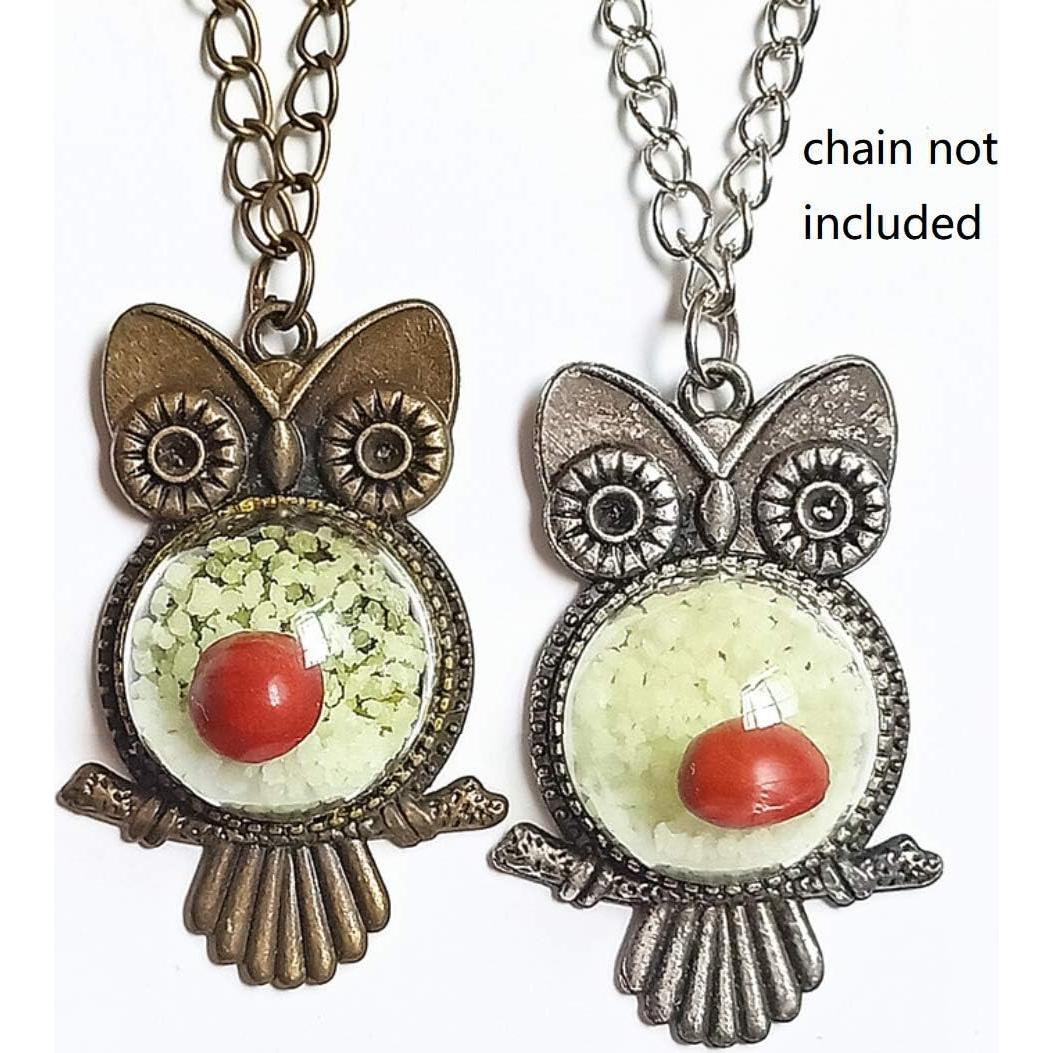 Kit de Bandejas para Colgantes Chris.W 48 Piezas con Cúpulas de Vidrio