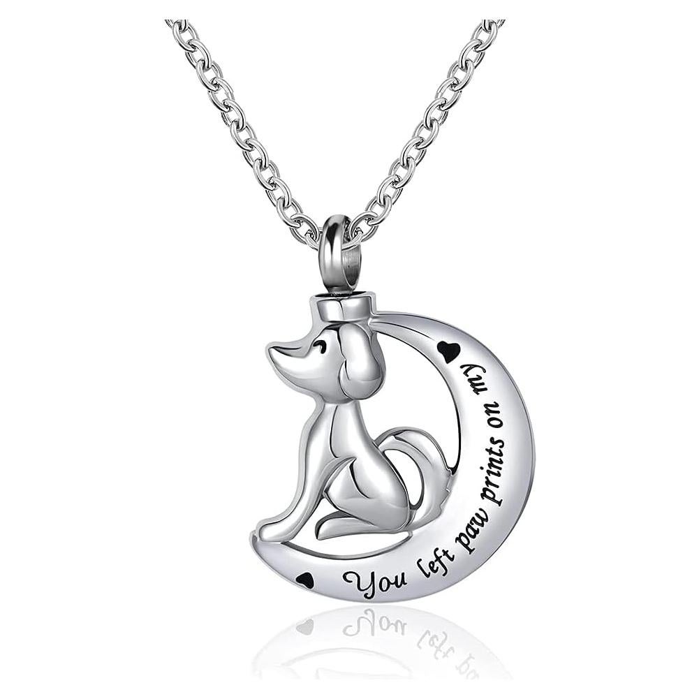 Collar Urna de Cenizas para Mascotas DWJSu - Acero Inoxidable