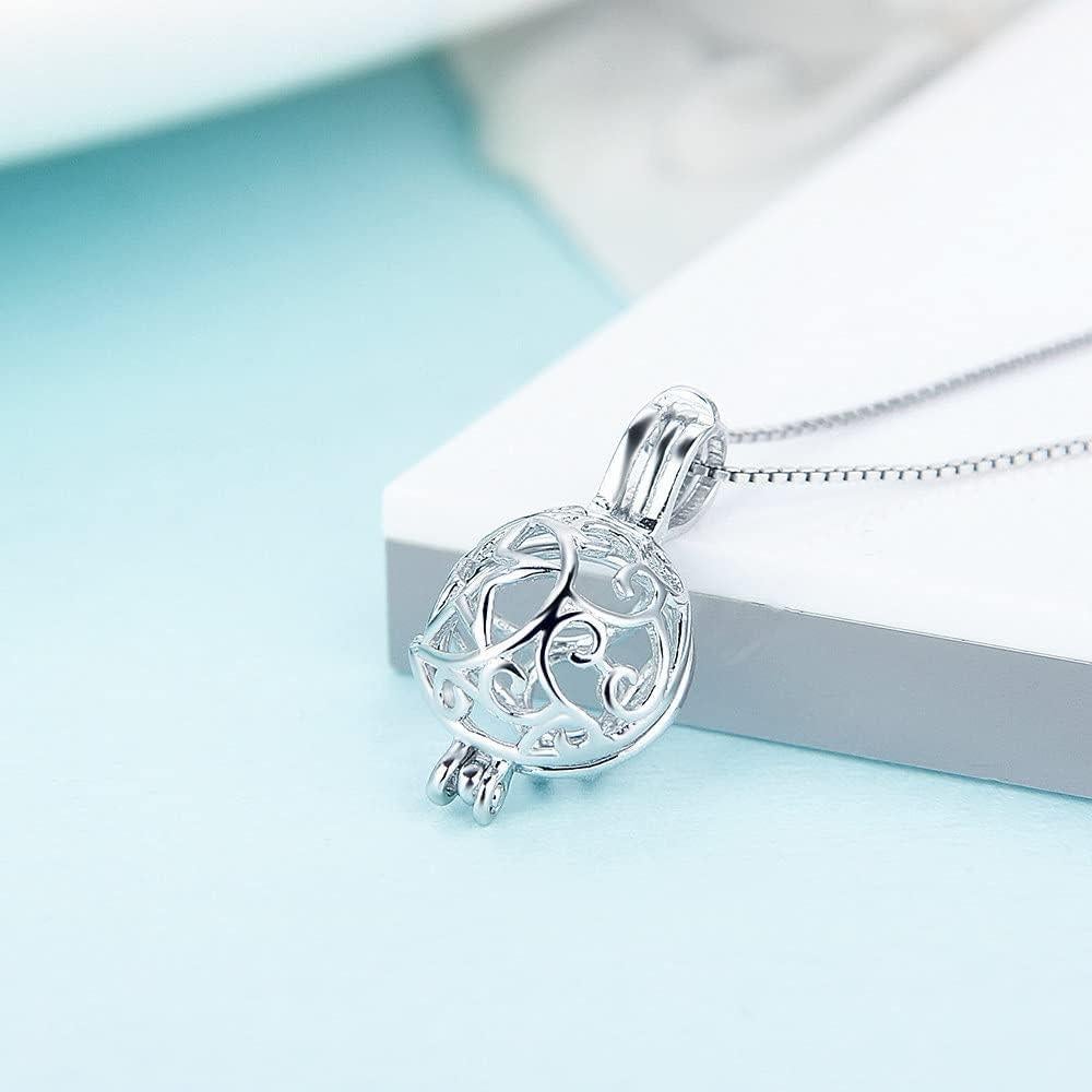 Colgante de Jaula de Estrella de Plata Esterlina 925 LGSY