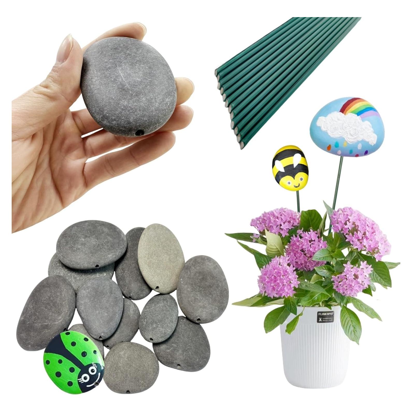 Rocas para Pintar LIFETOP 12PCS con Alambre Floral Decorativo
