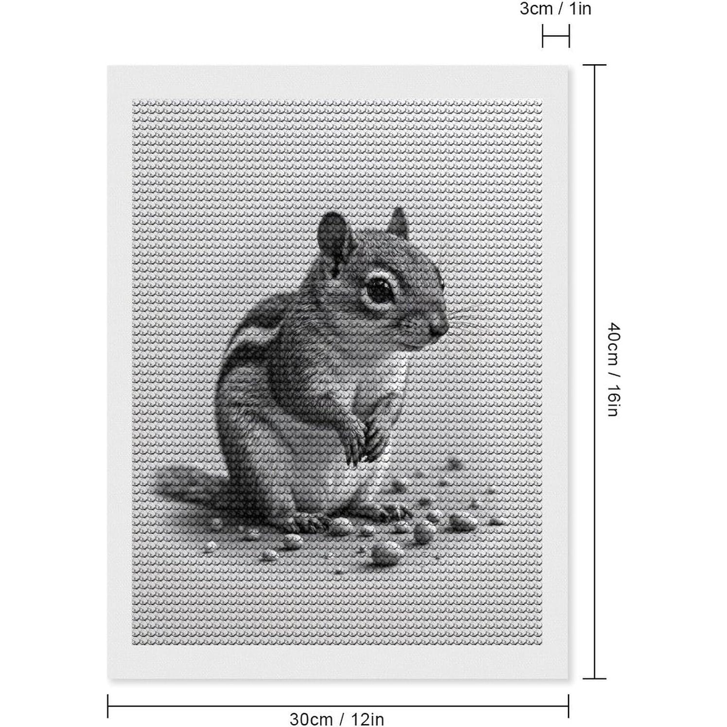 Kit de Pintura de Diamante TZTTZT Ardilla 30x40 cm para Adultos