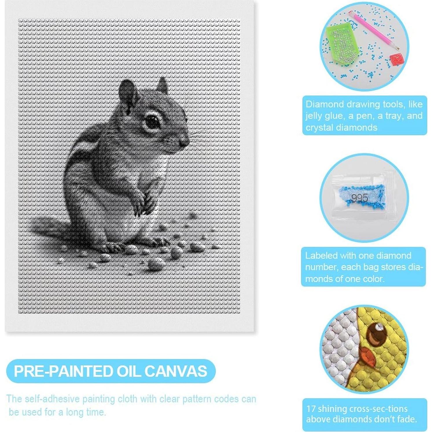 Kit de Pintura de Diamante TZTTZT Ardilla 30x40 cm para Adultos