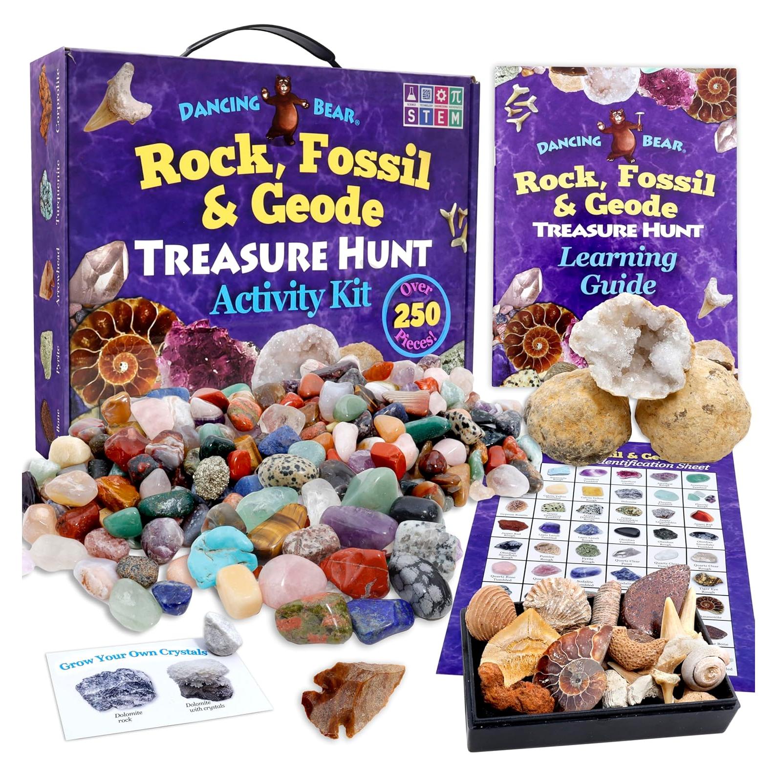Kit de Actividad de Búsqueda de Rocas y Minerales Dancing Bear - 250 Piezas