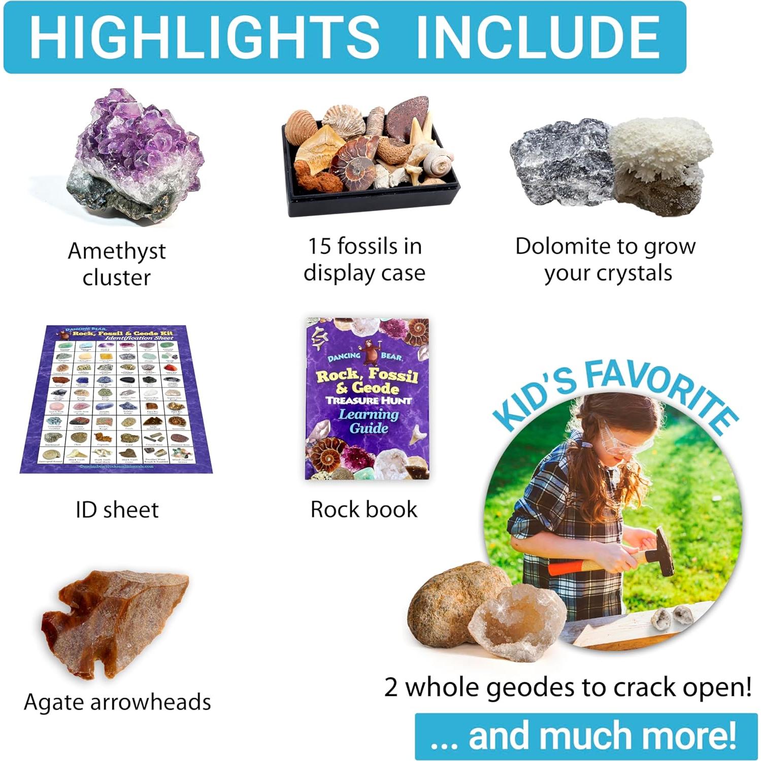 Kit de Actividad de Búsqueda de Rocas y Minerales Dancing Bear - 250 Piezas