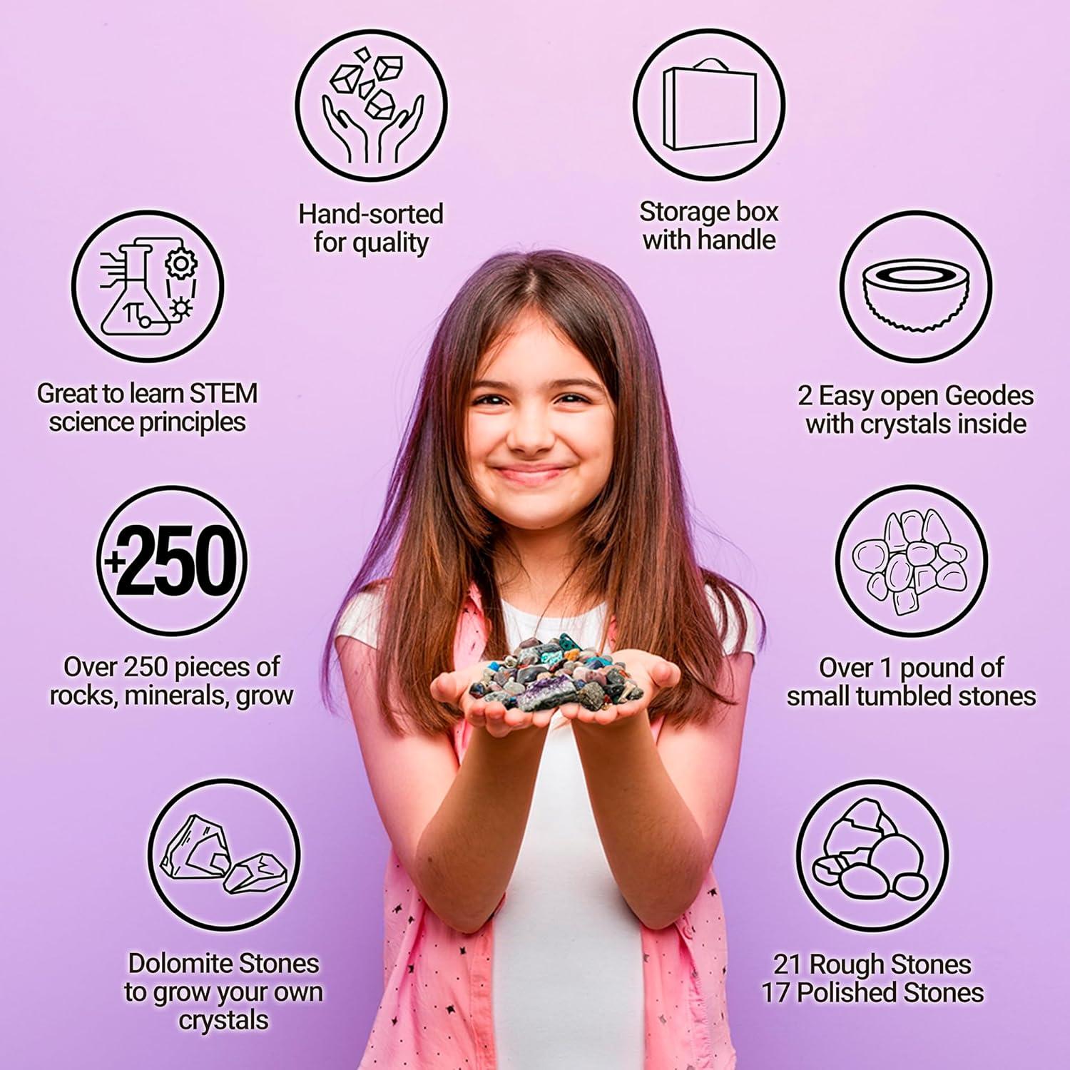 Kit de Actividad de Búsqueda de Rocas y Minerales Dancing Bear - 250 Piezas