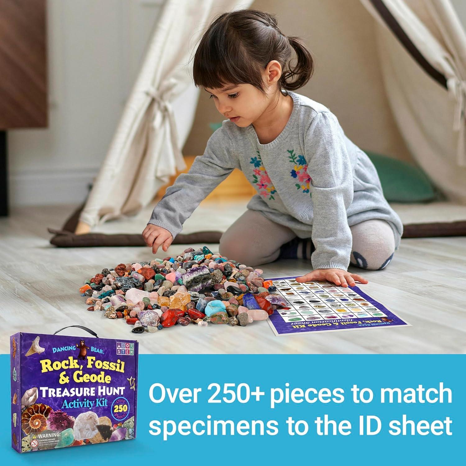 Kit de Actividad de Búsqueda de Rocas y Minerales Dancing Bear - 250 Piezas