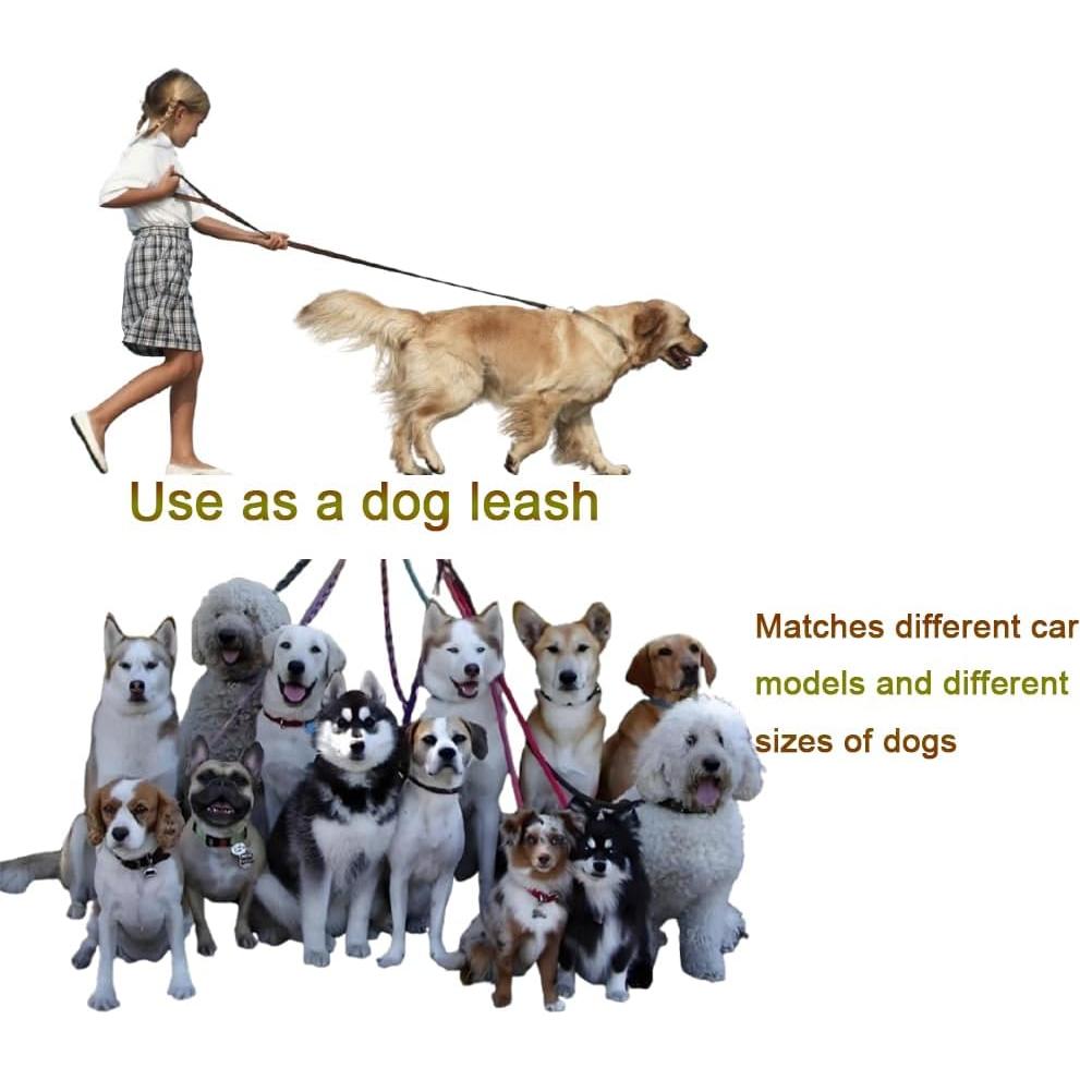 Arnés de Cinturón de Seguridad para Perros LNtech Negro 3 en 1