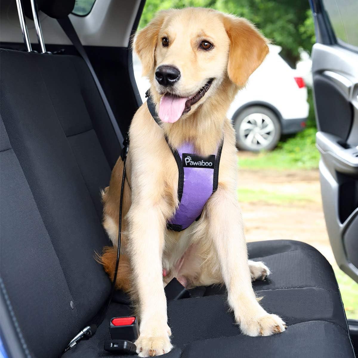 Cinturón de Seguridad para Perros Pawaboo 81 cm Negro