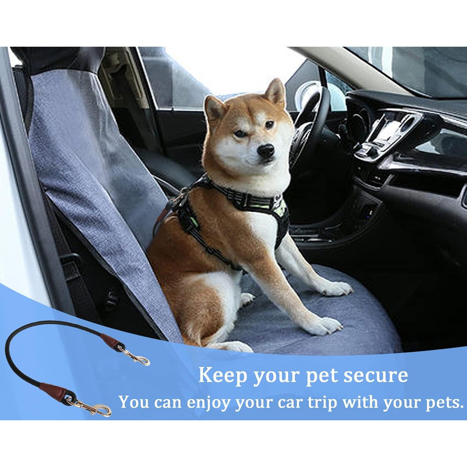 Correa de Entrenamiento MayPaw 61 CM para Perros - Cinturón de Seguridad