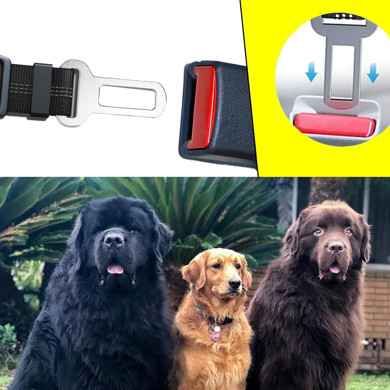 Cinturón de Seguridad para Perros Crossarctic Ajustable 40-66 cm