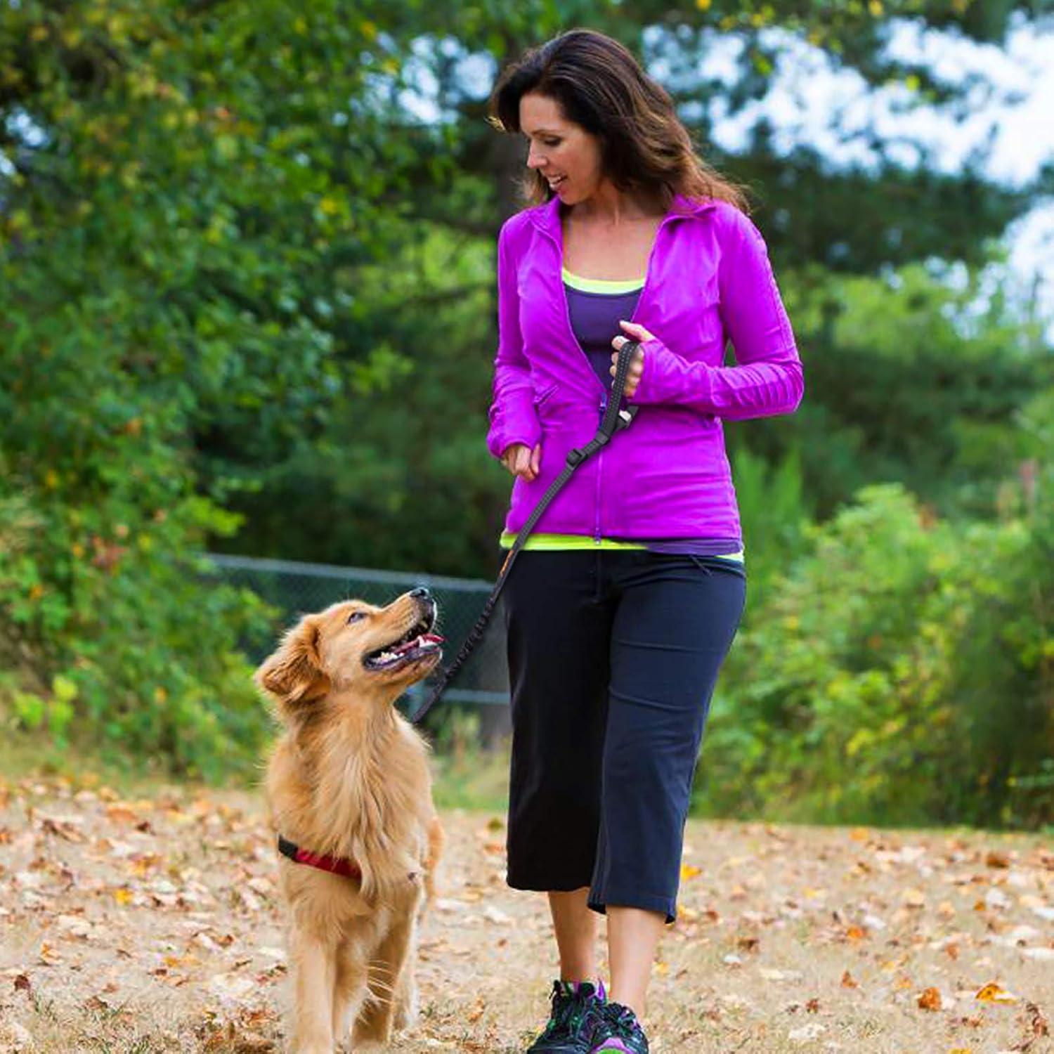 Cinturón de Seguridad para Perros iBuddy Ajustable 61.8-75.9 cm