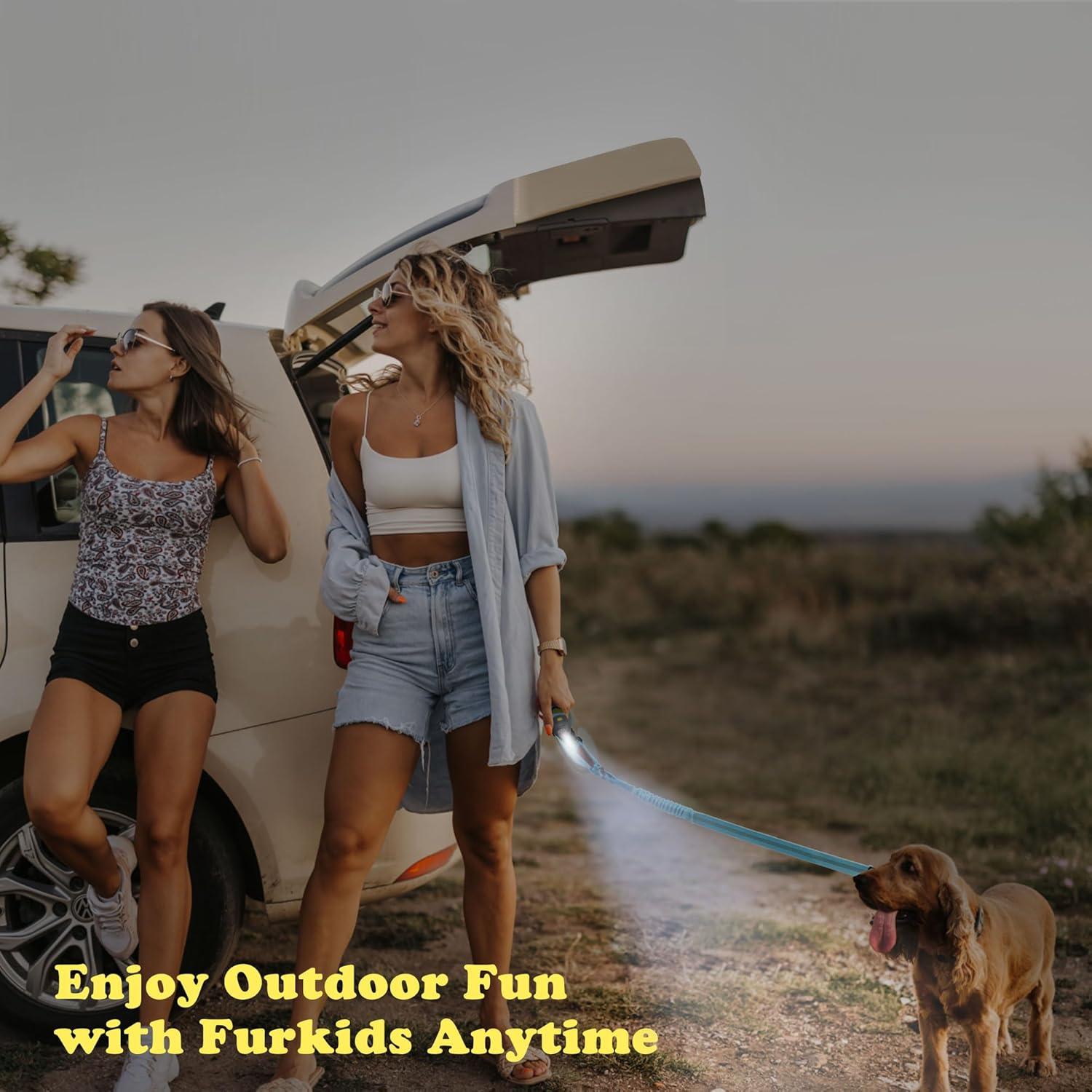 Cinturón de Seguridad para Perros IPETBA Ajustable Azul