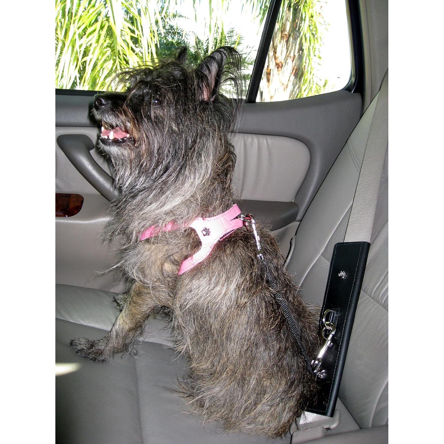 Correa de Seguridad para Mascotas PawRider Negra - Arnés Choke Free