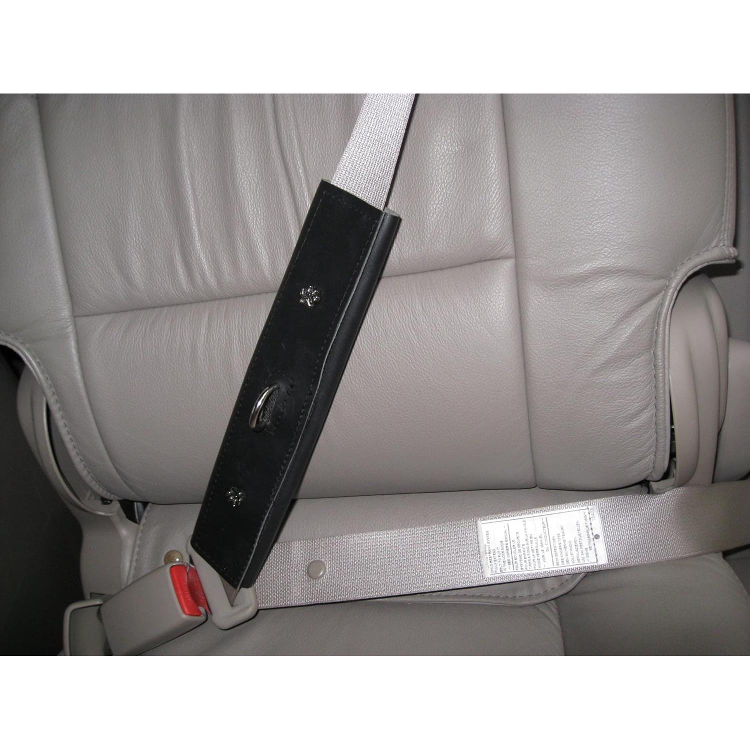 Correa de Seguridad para Mascotas PawRider Negra - Arnés Choke Free