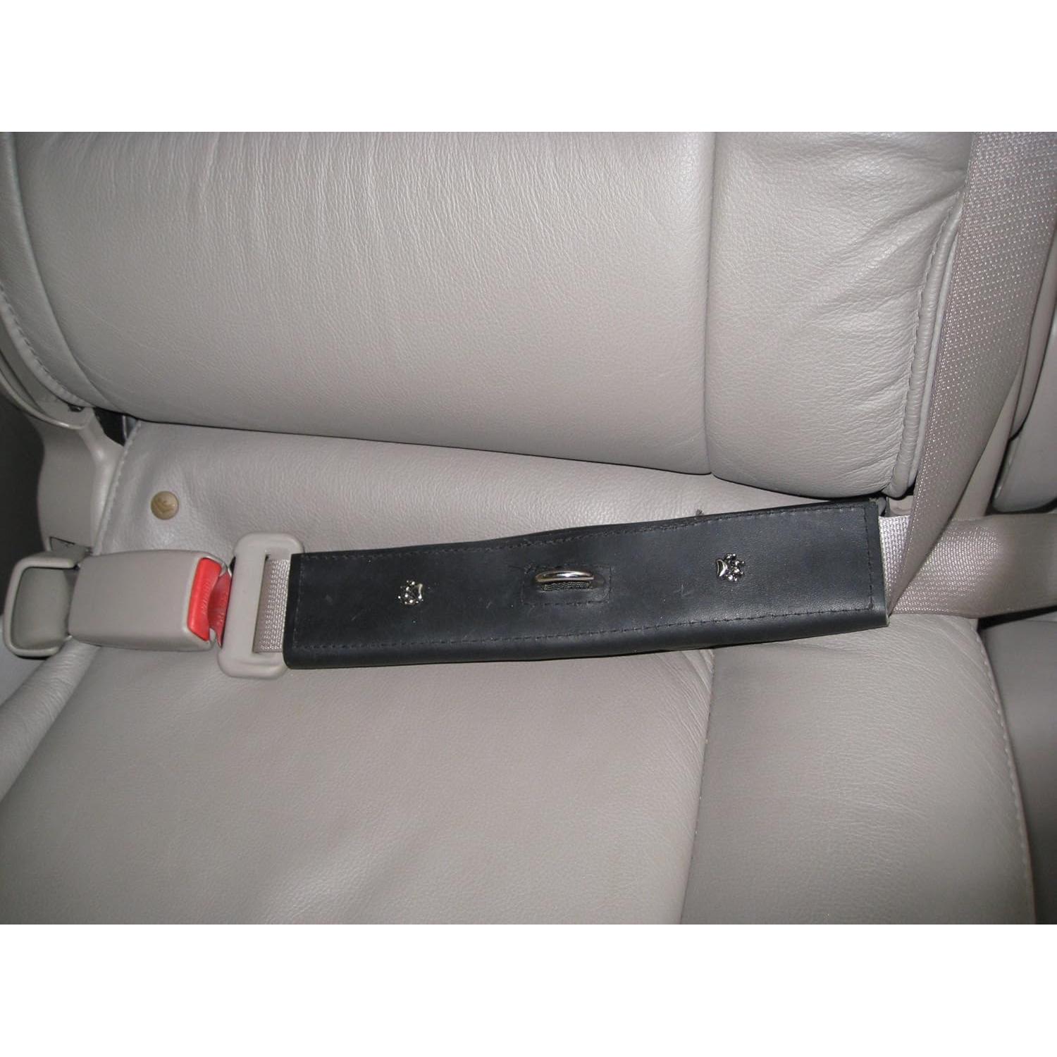 Correa de Seguridad para Mascotas PawRider Negra - Arnés Choke Free