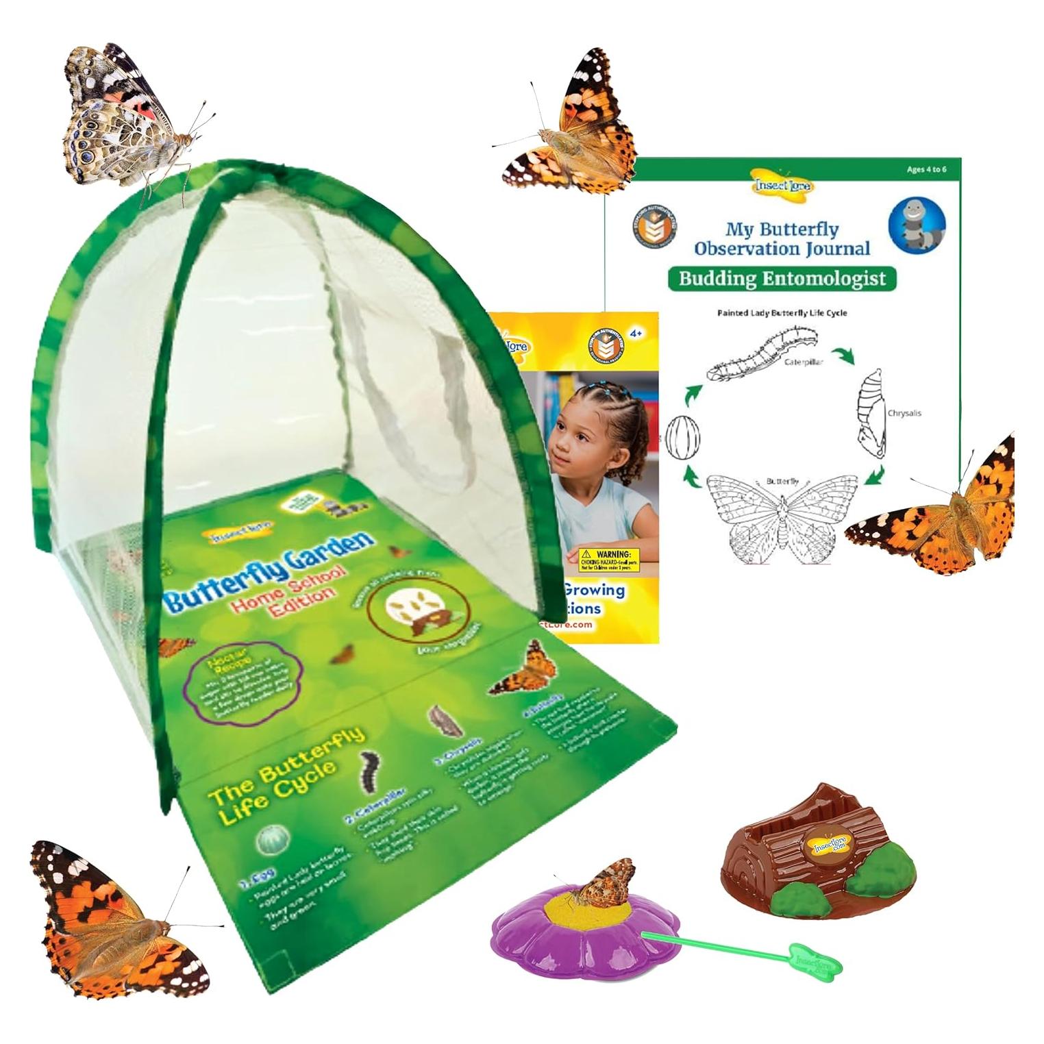 Experiencia Jardín de Mariposas Insect Lore - Vale Prepagado 5 Orugas