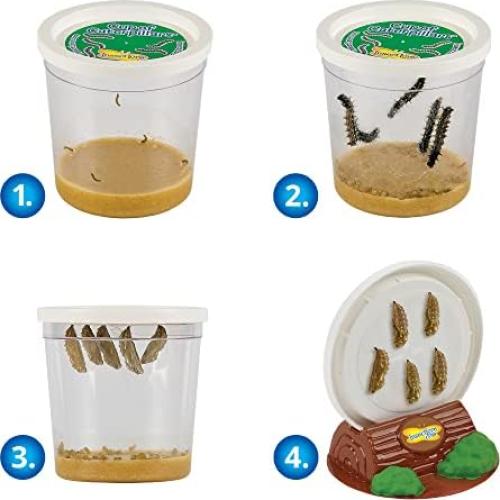 Experiencia Jardín de Mariposas Insect Lore - Vale Prepagado 5 Orugas