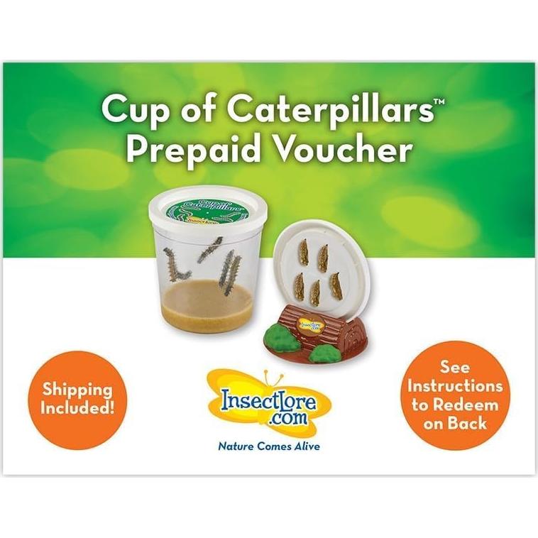 Experiencia Jardín de Mariposas Insect Lore - Vale Prepagado 5 Orugas