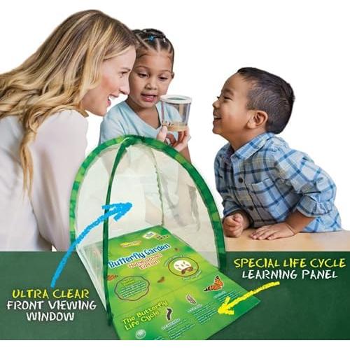 Experiencia Jardín de Mariposas Insect Lore - Vale Prepagado 5 Orugas