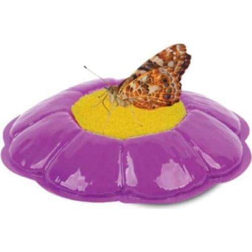 Experiencia Jardín de Mariposas Insect Lore - Vale Prepagado 5 Orugas