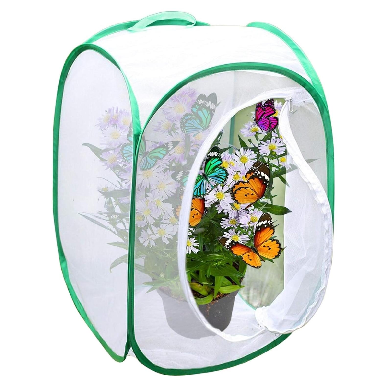 Jaula Plegable para Mariposas SunGrow 61 cm Verde