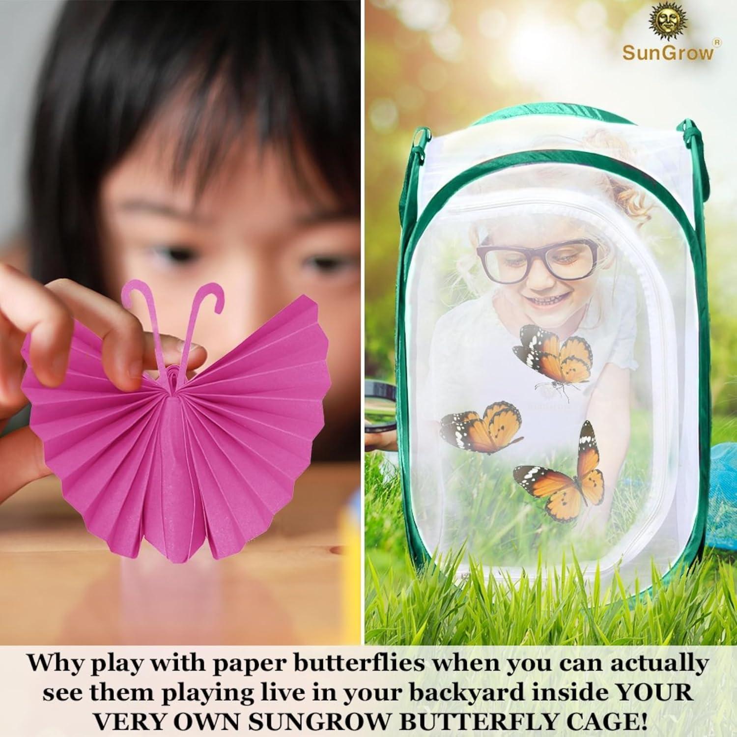 Jaula Plegable para Mariposas SunGrow 61 cm Verde