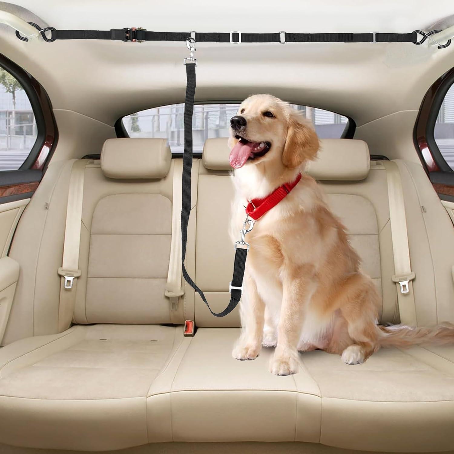 Anclaje para Perros SKIPWALL para Camioneta - Ajustable para 2 Perros