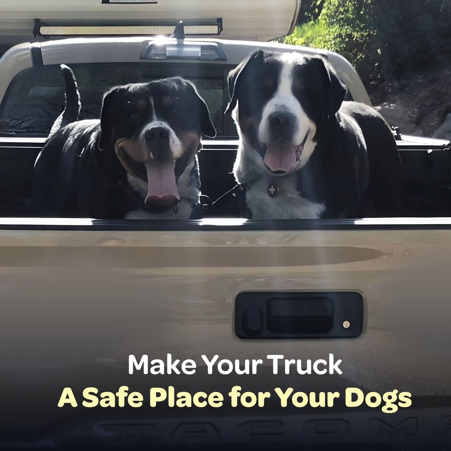 Correa Doble para Cama de Pickup Labra - Nylon Resistente