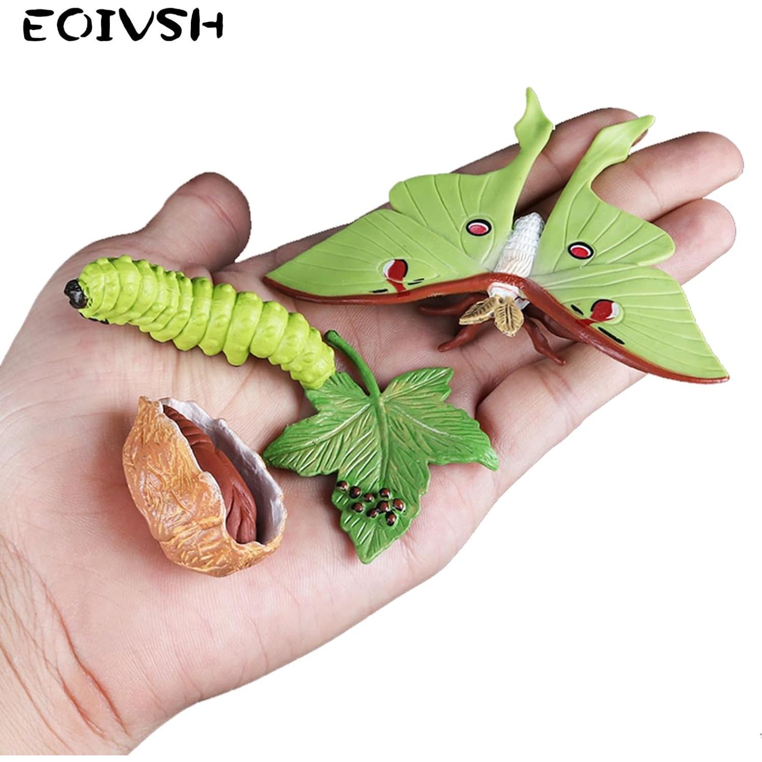 Kit Educativo Ciclo de Vida Mariposa Monarca EOIVSH 8 Piezas