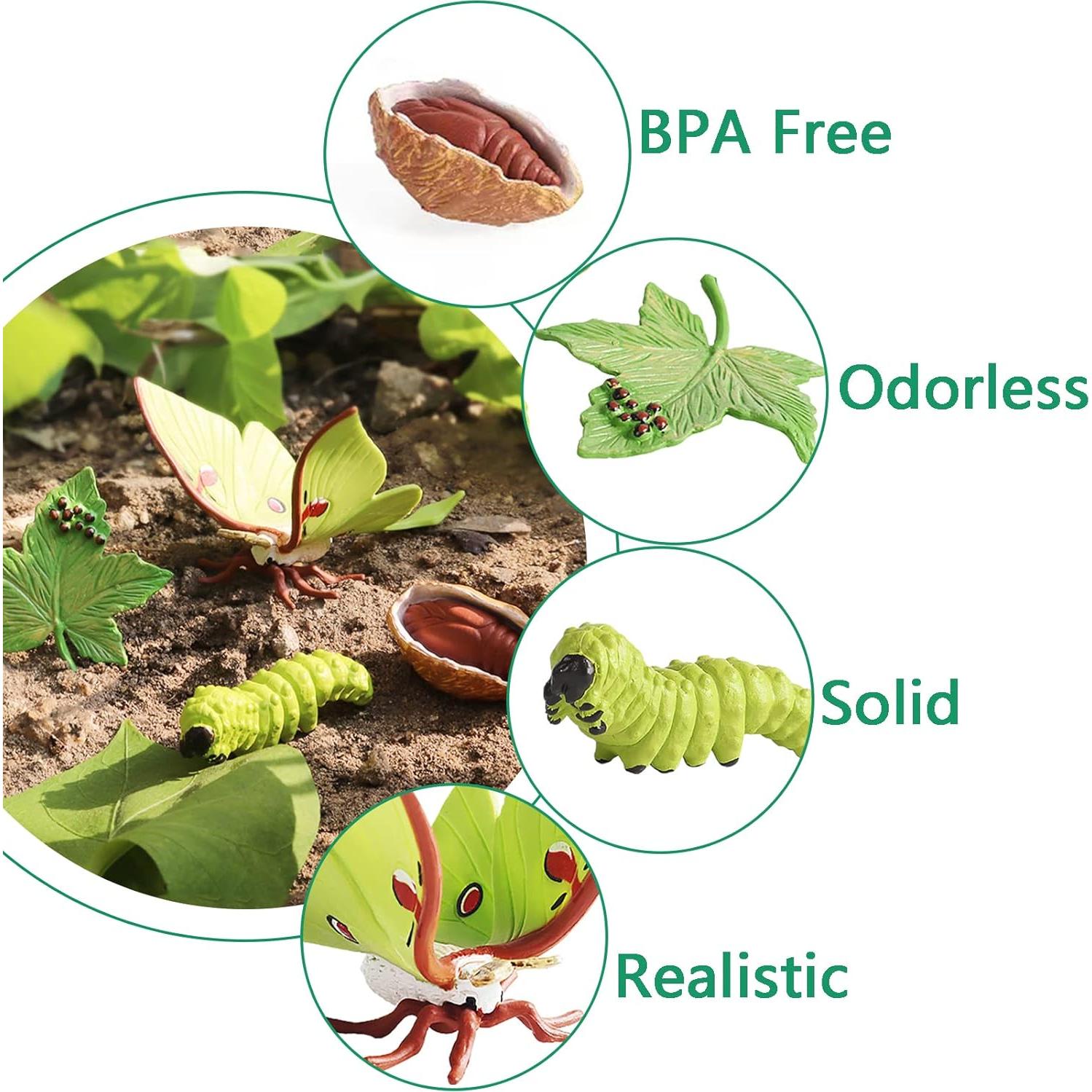 Kit Educativo Ciclo de Vida Mariposa Monarca EOIVSH 8 Piezas