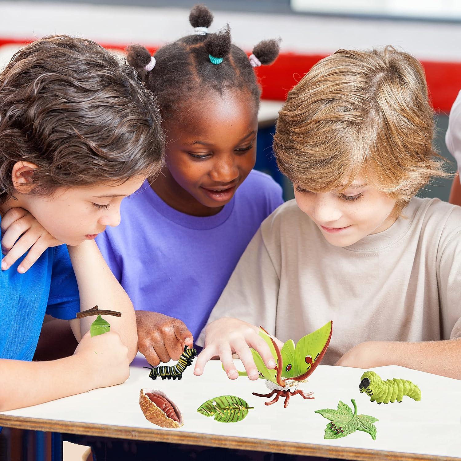 Kit Educativo Ciclo de Vida Mariposa Monarca EOIVSH 8 Piezas