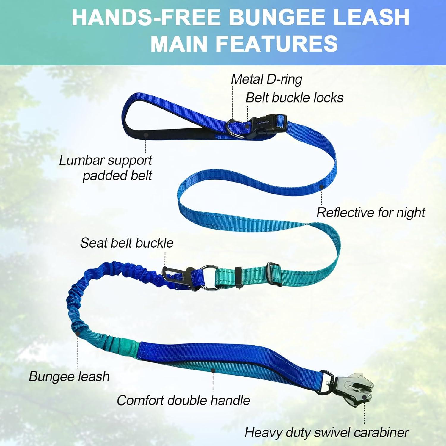 Correa para Perros de Mano Libre Vanqou 1.22-1.83m Aguamarina